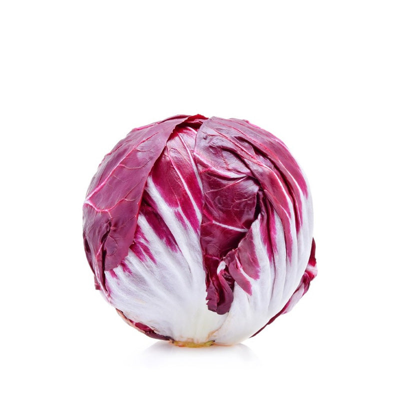 Radicchio, cykoria włoska 1szt